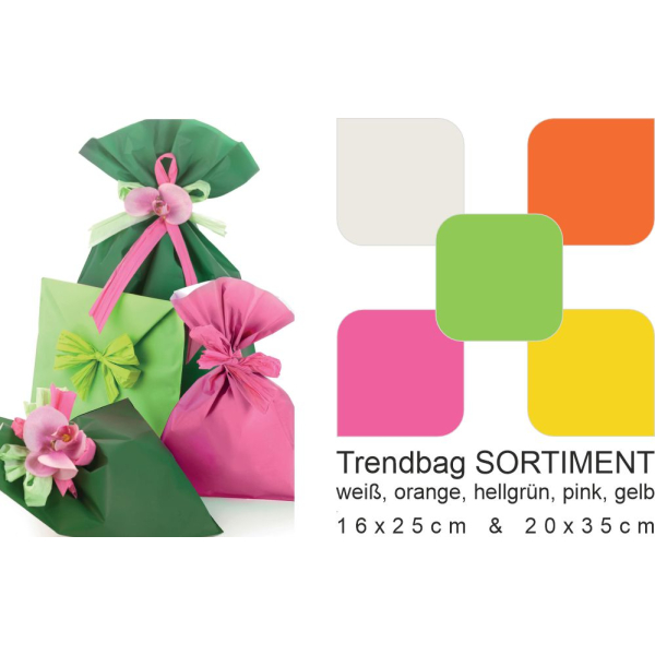 Trendbag / Geschenkbeutel PP, 40mµ, matt SORTIMENT a. 100 Stück
