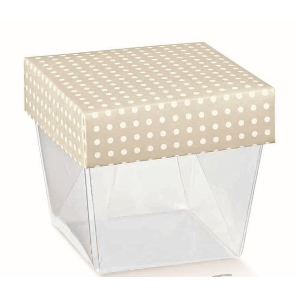 Kartonage transparent mit Deckel Punkte taupe konisch,...